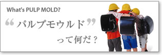 �p���v���E���h���ĉ����H