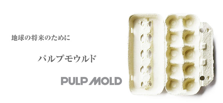 �p���v���E���h�uPULP MOLD�v
