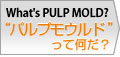 What's PULP MOLD?upvEhĉH